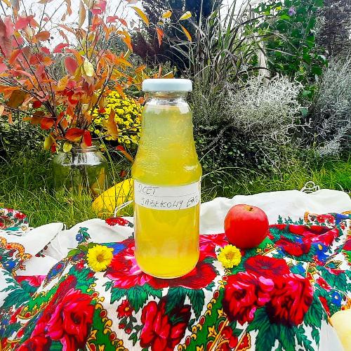 Apple cider vinegar Agroturystyka Wilga